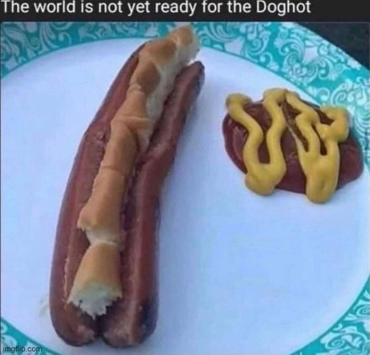 doghot | image tagged in e,sexy dog,suck my ovaries,why am i putting these tags | made w/ Imgflip meme maker