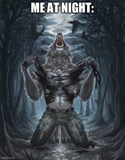 Wolf ripping shirt | ME AT NIGHT: | image tagged in wolf ripping shirt | made w/ Imgflip meme maker