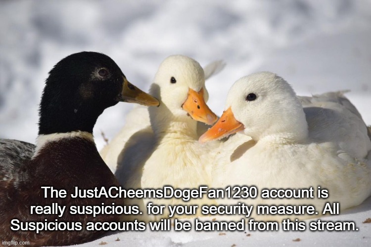 Dunkin Ducks | The JustACheemsDogeFan1230 account is really suspicious. for your security measure. All Suspicious accounts will be banned from this stream. | image tagged in dunkin ducks | made w/ Imgflip meme maker
