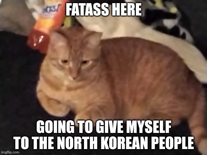 Goose | FATASS HERE; GOING TO GIVE MYSELF TO THE NORTH KOREAN PEOPLE | image tagged in goose | made w/ Imgflip meme maker
