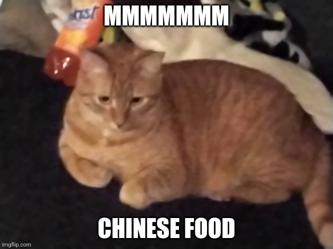 Goose | MMMMMMM; CHINESE FOOD | image tagged in goose | made w/ Imgflip meme maker