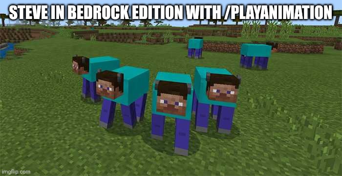 me and the boys | STEVE IN BEDROCK EDITION WITH /PLAYANIMATION | image tagged in me and the boys | made w/ Imgflip meme maker