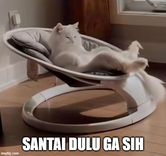 Relax Cat | SANTAI DULU GA SIH | image tagged in relax cat | made w/ Imgflip meme maker