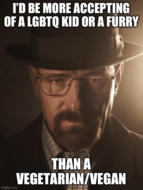 Walter White | I’D BE MORE ACCEPTING OF A LGBTQ KID OR A FURRY; THAN A VEGETARIAN/VEGAN | image tagged in walter white | made w/ Imgflip meme maker