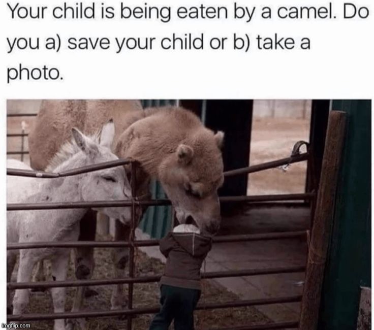B | image tagged in memes,funny | made w/ Imgflip meme maker