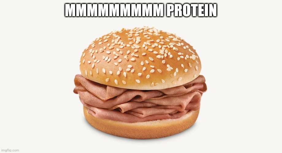 I like meat | MMMMMMMMM PROTEIN | image tagged in arby's sandwich | made w/ Imgflip meme maker