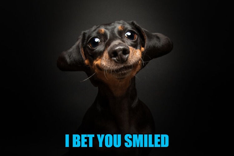 Smile its free. | I BET YOU SMILED | image tagged in smile,kewlew | made w/ Imgflip meme maker
