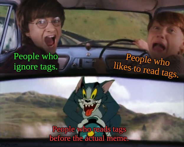 That's me. | People who ignore tags. People who likes to read tags. People who reads tags before the actual meme. | image tagged in tom chasing harry and ron weasly,memes,right,why are you reading the tags | made w/ Imgflip meme maker