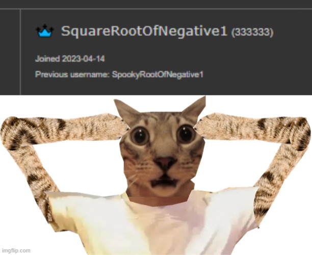 sextuple 3s | image tagged in cat shocked | made w/ Imgflip meme maker