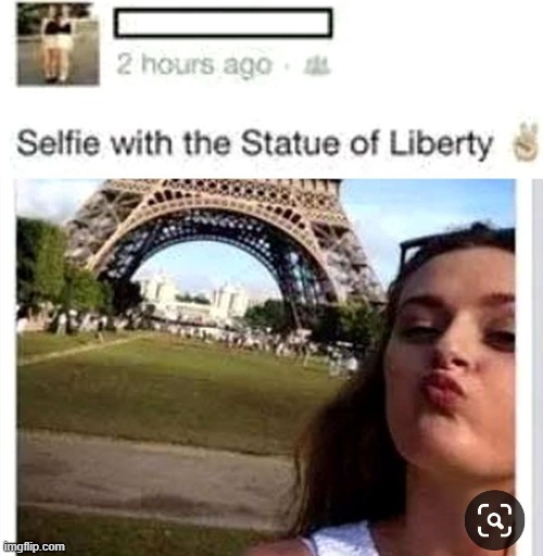 image tagged in selfie,statue of liberty,france,eiffel tower,wut | made w/ Imgflip meme maker