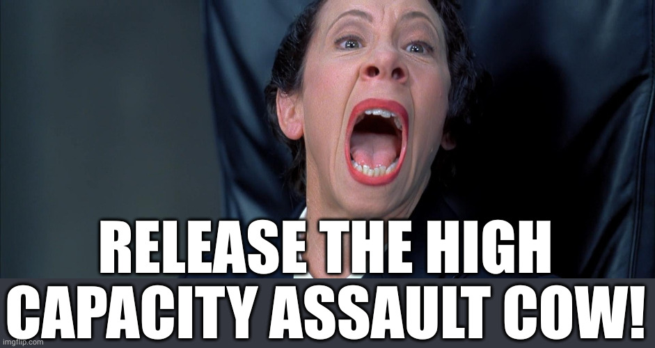 Frau Farbissina | RELEASE THE HIGH CAPACITY ASSAULT COW! | image tagged in frau farbissina | made w/ Imgflip meme maker