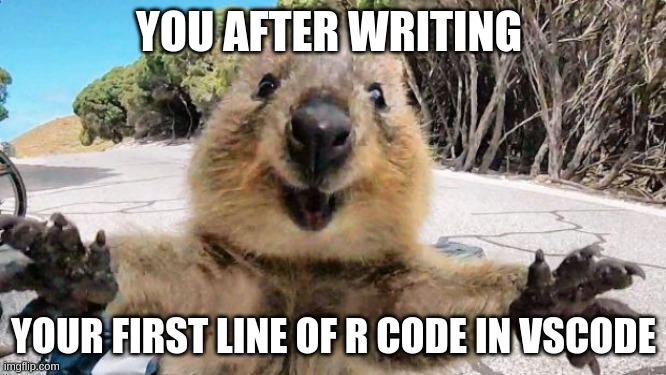 welcoming quokka | YOU AFTER WRITING; YOUR FIRST LINE OF R CODE IN VSCODE | image tagged in welcoming quokka | made w/ Imgflip meme maker