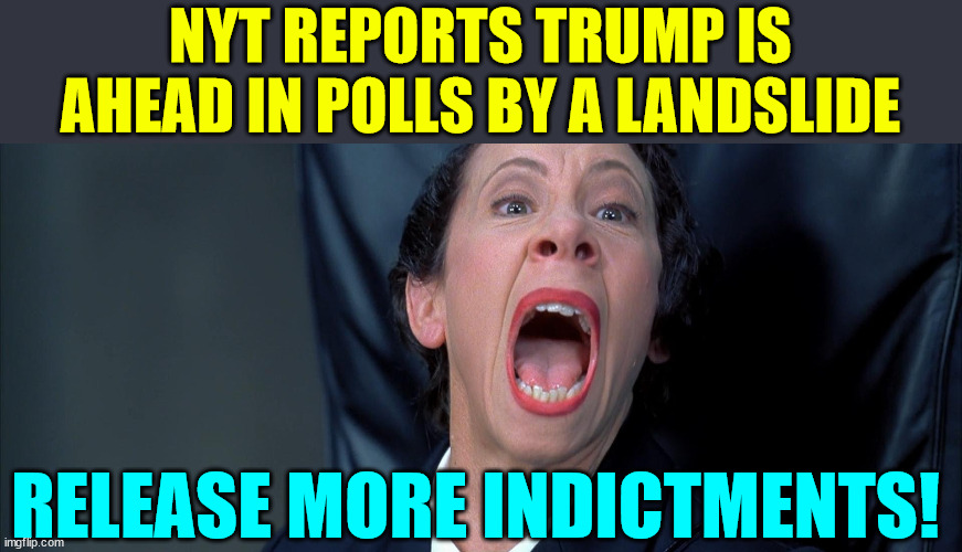 Frau Farbissina | NYT REPORTS TRUMP IS AHEAD IN POLLS BY A LANDSLIDE RELEASE MORE INDICTMENTS! | image tagged in frau farbissina | made w/ Imgflip meme maker