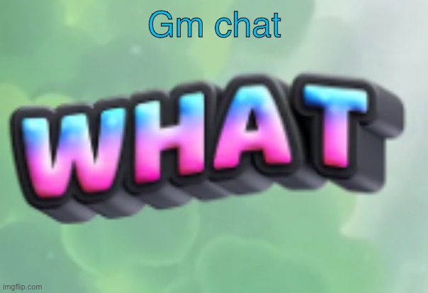 what | Gm chat | image tagged in what | made w/ Imgflip meme maker