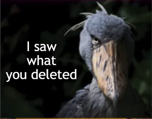 Bird I saw what you deleted- Blank Meme Template