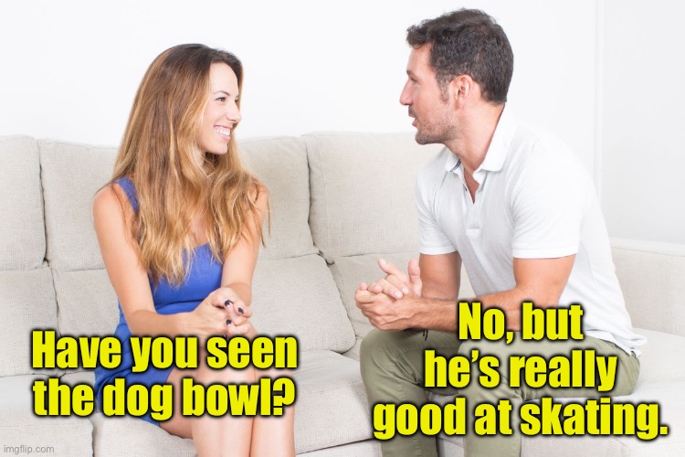 Dad joke | No, but he’s really good at skating. Have you seen the dog bowl? | image tagged in couple talking | made w/ Imgflip meme maker