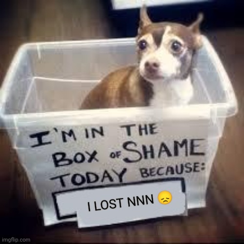 The L in the Chat | I LOST NNN 😞 | image tagged in box of shame dog | made w/ Imgflip meme maker
