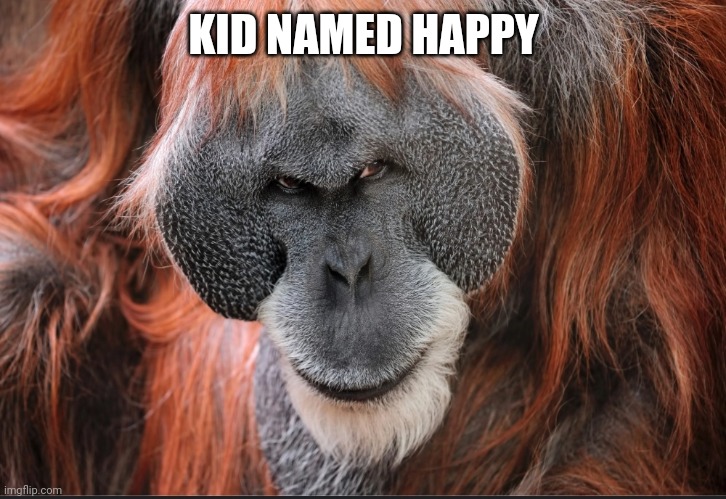 Orangutan-devious | KID NAMED HAPPY | image tagged in orangutan-devious | made w/ Imgflip meme maker