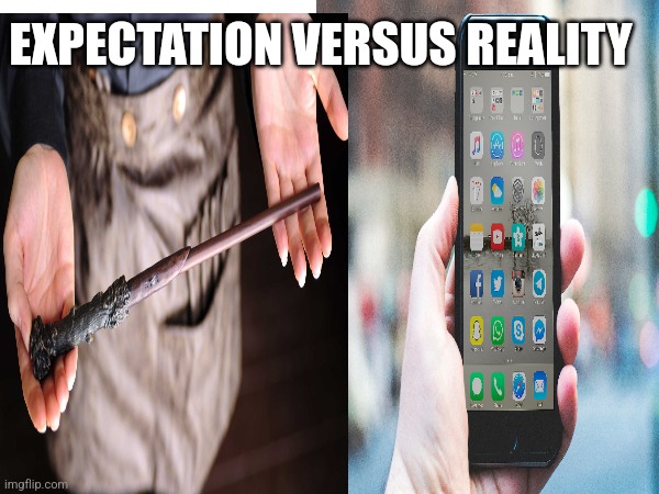 Wand | EXPECTATION VERSUS REALITY | image tagged in harry potter | made w/ Imgflip meme maker