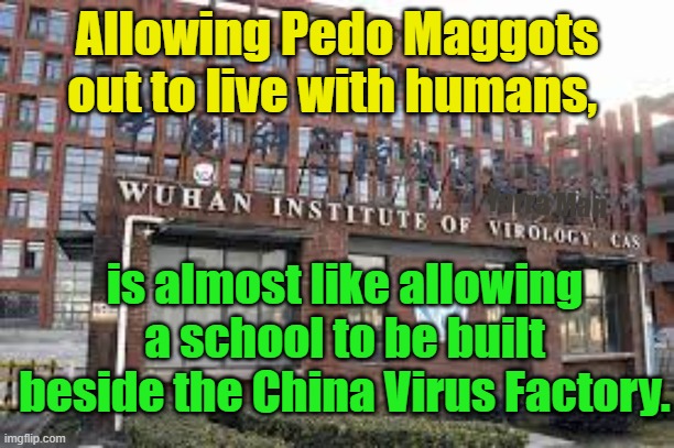 Predators let loose on society | Allowing Pedo Maggots out to live with humans, Yarra Man; is almost like allowing a school to be built beside the China Virus Factory. | image tagged in wuhan,china virus,insanity,criminals,children | made w/ Imgflip meme maker