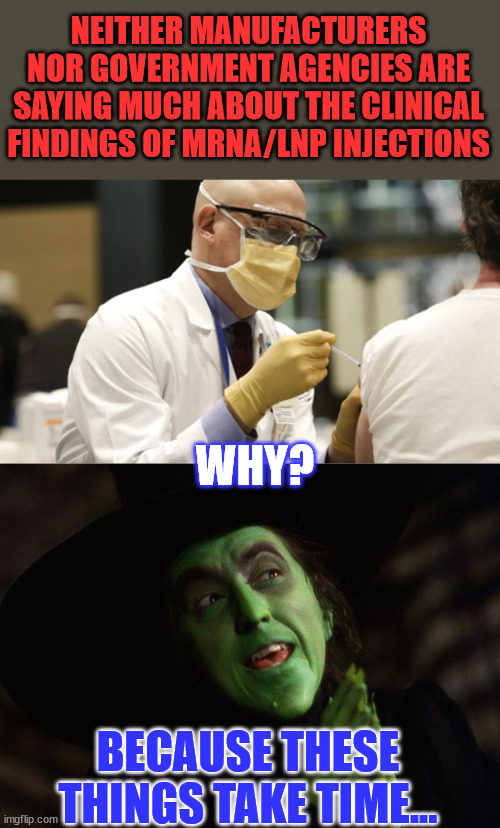 Could it be those who took their vaccine are their testing subjects? | NEITHER MANUFACTURERS NOR GOVERNMENT AGENCIES ARE SAYING MUCH ABOUT THE CLINICAL FINDINGS OF MRNA/LNP INJECTIONS; WHY? BECAUSE THESE THINGS TAKE TIME... | image tagged in vaccination,wicked witch west,covid vaccine,truth,public,guinea pig | made w/ Imgflip meme maker