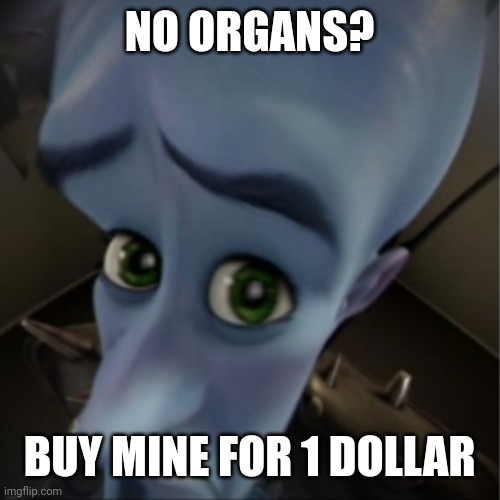 Meme | NO ORGANS? BUY MINE FOR 1 DOLLAR | image tagged in megamind peeking | made w/ Imgflip meme maker