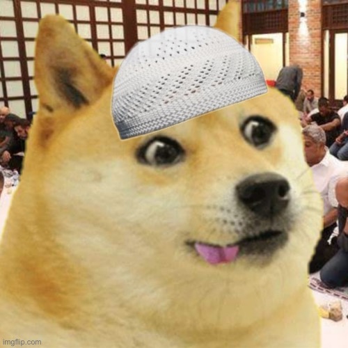 Him | image tagged in muslim doge | made w/ Imgflip meme maker