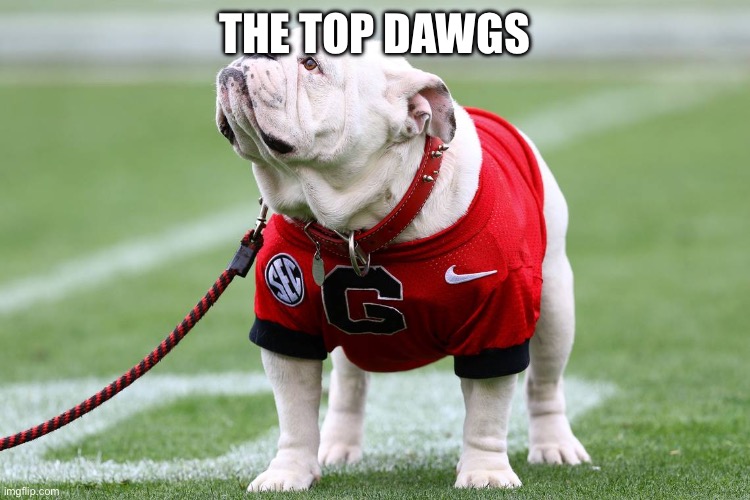 Georgia bulldog | THE TOP DAWGS | image tagged in georgia bulldog | made w/ Imgflip meme maker