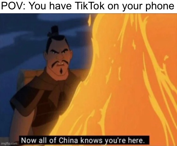 TikTok is pretty invasive ngl | POV: You have TikTok on your phone | image tagged in now all of china knows you're here,tiktok,tiktok sucks | made w/ Imgflip meme maker