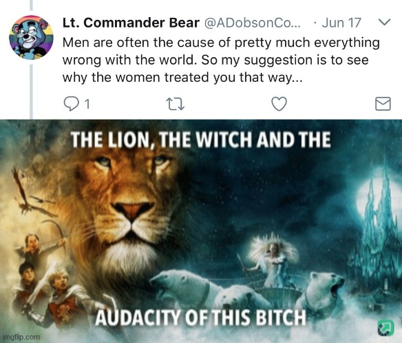 the last sentence makes a bit of sense, but the first one. EWG. NO. | image tagged in the lion the witch and the audacity of this bitch | made w/ Imgflip meme maker