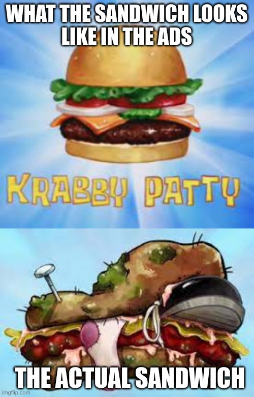 pov: you compare the whopper in the ads and the real whopper | WHAT THE SANDWICH LOOKS
LIKE IN THE ADS; THE ACTUAL SANDWICH | image tagged in whopper,relatable | made w/ Imgflip meme maker