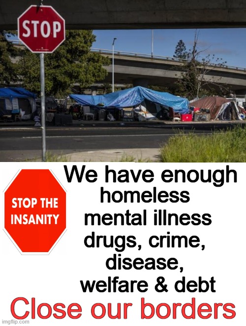 Stop The Insanity | We have enough; homeless 
mental illness
drugs, crime, 
disease, 

welfare & debt; Close our borders | image tagged in politics,open borders,insanity,drugs,crime,homeless | made w/ Imgflip meme maker
