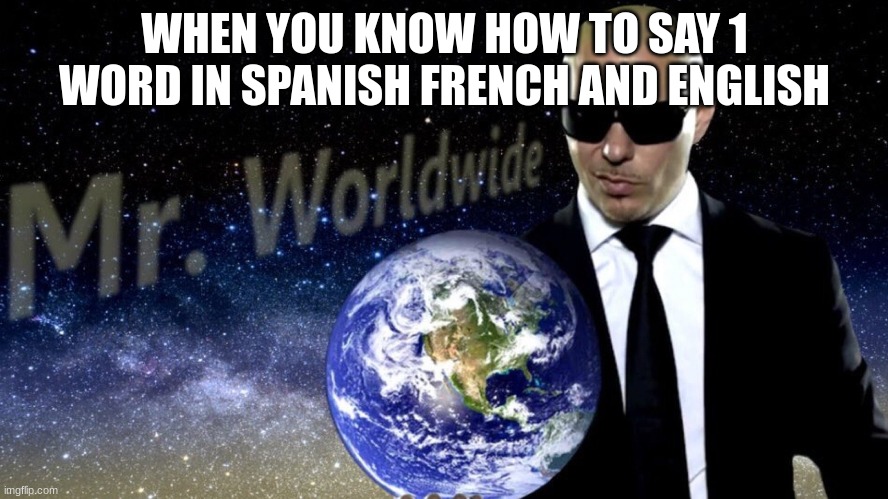 When you know how to say 1 word in spanish french and english | WHEN YOU KNOW HOW TO SAY 1 WORD IN SPANISH FRENCH AND ENGLISH | image tagged in mr worldwide | made w/ Imgflip meme maker