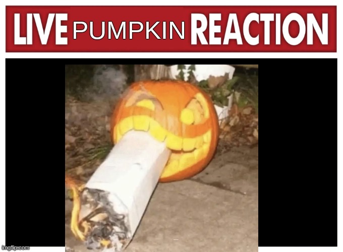 Live reaction | PUMPKIN; filmed after Halloween | image tagged in live reaction | made w/ Imgflip meme maker
