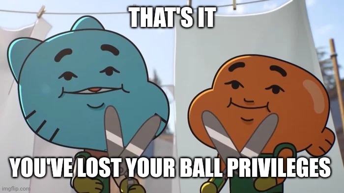 lost privileges | THAT'S IT YOU'VE LOST YOUR BALL PRIVILEGES | image tagged in lost privileges | made w/ Imgflip meme maker