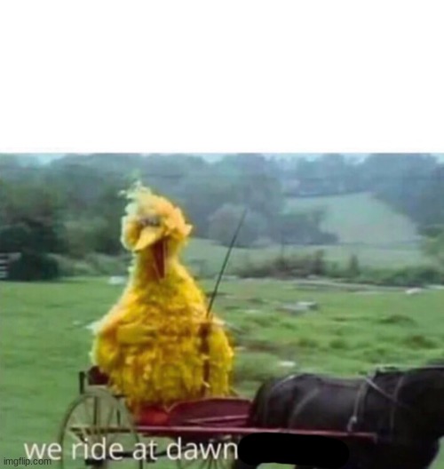 We ride at dawn | image tagged in we ride at dawn | made w/ Imgflip meme maker