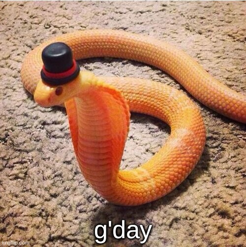 ima just slither on in here | g'day | image tagged in dapper snek | made w/ Imgflip meme maker