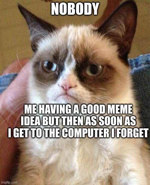 angry cat Memes & GIFs - Imgflip