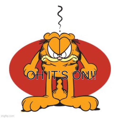 Garfield mad | OH IT’S ON!! | image tagged in garfield mad | made w/ Imgflip meme maker