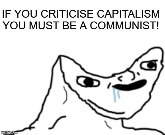 Dumb Wojak | IF YOU CRITICISE CAPITALISM YOU MUST BE A COMMUNIST! | image tagged in dumb wojak | made w/ Imgflip meme maker