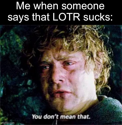 Take it back | Me when someone says that LOTR sucks: | image tagged in samwise you don't mean that,lord of the rings,lotr | made w/ Imgflip meme maker