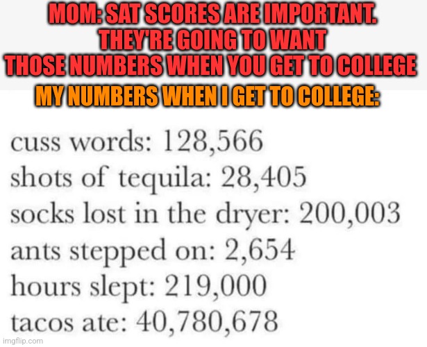 MOM: SAT SCORES ARE IMPORTANT. THEY'RE GOING TO WANT THOSE NUMBERS WHEN YOU GET TO COLLEGE; MY NUMBERS WHEN I GET TO COLLEGE: | image tagged in funny memes | made w/ Imgflip meme maker