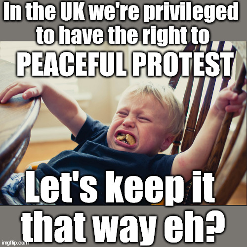UK - Peaceful Protest | In the UK we're privileged 
to have the right to; PEACEFUL PROTEST; Let's keep it 
that way eh? | image tagged in temper tantrum,palestine hamas gaza israel,just stop oil,labourisdead,stop boats rwanda echr,starmer 20 mph ulez eu | made w/ Imgflip meme maker