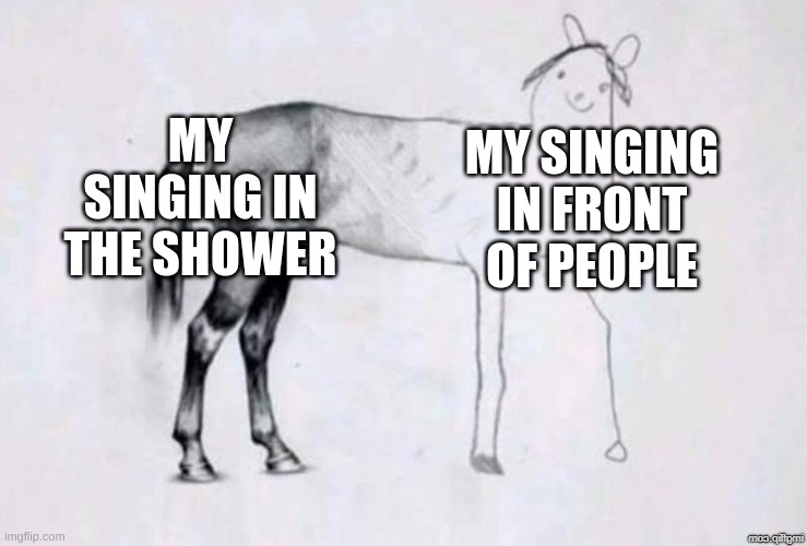Horse Drawing | MY SINGING IN THE SHOWER; MY SINGING IN FRONT OF PEOPLE | image tagged in horse drawing,singing,shower | made w/ Imgflip meme maker