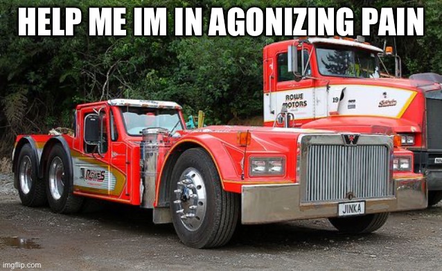 Turck | HELP ME IM IN AGONIZING PAIN | made w/ Imgflip meme maker