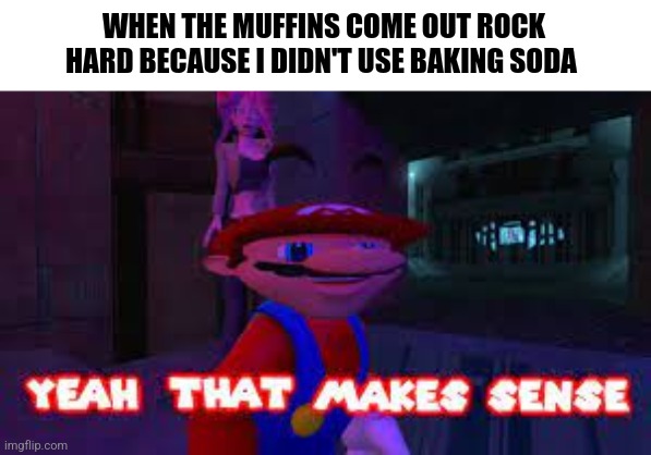I forgot baking soda | WHEN THE MUFFINS COME OUT ROCK HARD BECAUSE I DIDN'T USE BAKING SODA | image tagged in yeah that makes sense,food memes | made w/ Imgflip meme maker