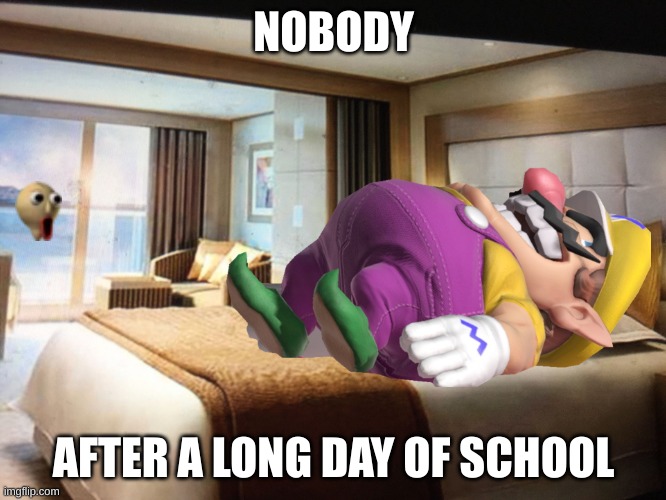 i think hes dead | NOBODY; AFTER A LONG DAY OF SCHOOL | image tagged in cruise ship bedroom | made w/ Imgflip meme maker