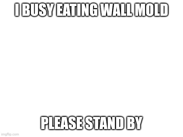 *Shoves handfuls in my mouth* | I BUSY EATING WALL MOLD; PLEASE STAND BY | image tagged in yummy | made w/ Imgflip meme maker