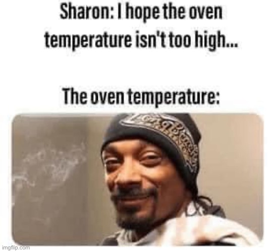 The oven temperature: | made w/ Imgflip meme maker