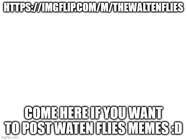 hehheehehehehehheheheheheeheheheheheh | HTTPS://IMGFLIP.COM/M/THEWALTENFLIES; COME HERE IF YOU WANT TO POST WATEN FLIES MEMES :D | image tagged in memes | made w/ Imgflip meme maker